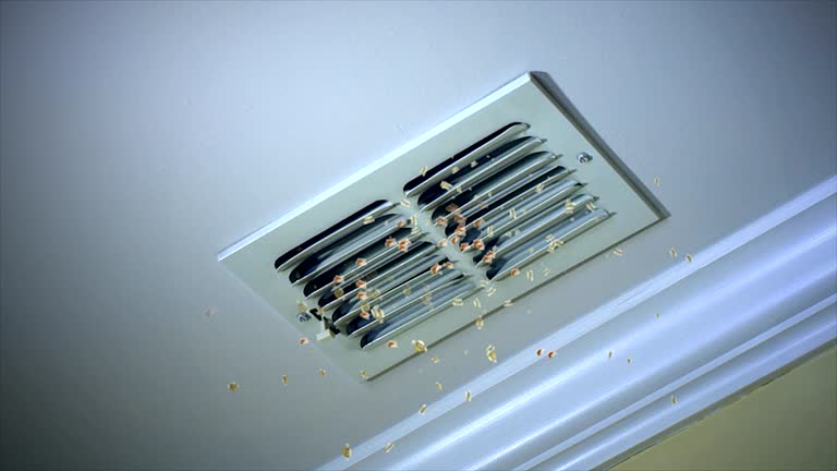Best Commercial HVAC Duct Cleaning  in Austin, AR