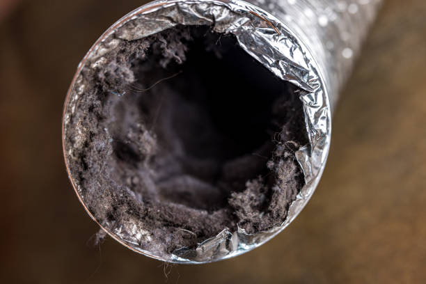 Best Dryer Vent Cleaning Services  in Austin, AR